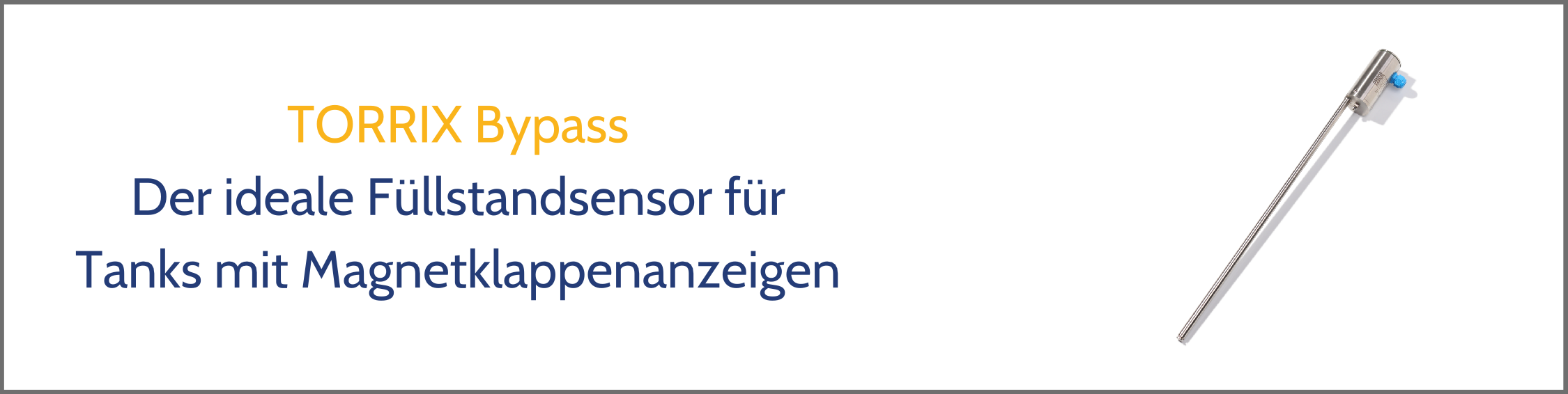 TORRIX Bypass TORRIX Bypass