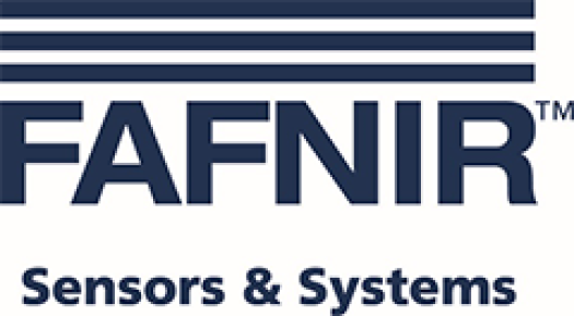 FAFNIR Logo FAFNIR Logo