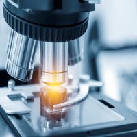 Laboratory Laboratory